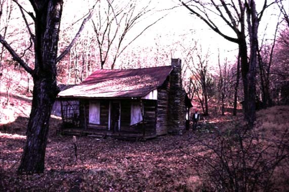 La baracca nei boschi del film la casa di Sam Raimi