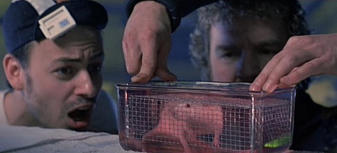 Scena del topo che respira sott'acqua, nel film The Abyss