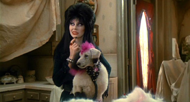 Elvira e il cane Gonk