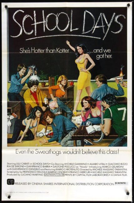 School days movie poster, hotter than kotter