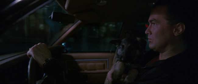 Seagal con in mano un cucciolo di pastore tedesco mentre guida l'automobile nel film Giustizia a tutti i costi